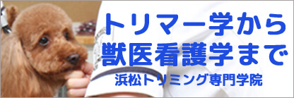 浜松市中央区龍禅寺にあるトリマー学から獣医看護学まで学べる浜松トリミング学院のWEBページへ